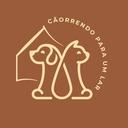 Cãorrendo para um Lar / Adoção Florianóp