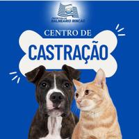 Centro de Castração Balneário Rincão