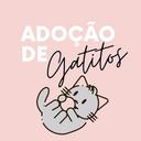 Adoção de Gatitos