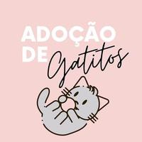 Adoção de Gatitos