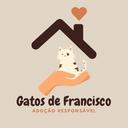Gatos de Francisco