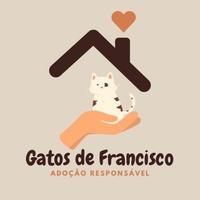 Gatos de Francisco