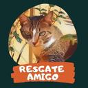 Resgate Amigo