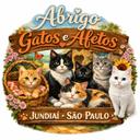 Abrigo Gatos & Afetos