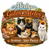Abrigo Gatos & Afetos