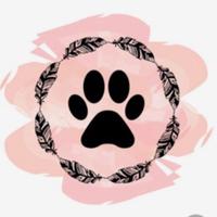 Adoção de Animais Goiânia