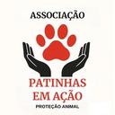 Patinhas em Ação
