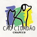 Cão Cidadão Chapecó