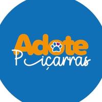 Adote Piçarras