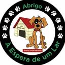 Abrigo à Espera de um Lar