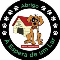 Abrigo à Espera de um Lar