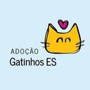 Adoção Gatinhos ES