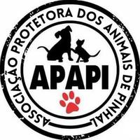 Associação Protetora dos Animais de Pinhal