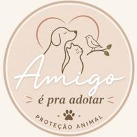 Amigo é Pra Adotar