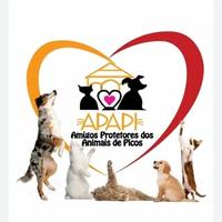 APAPI