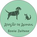 Sonia Zaitune - Adoção de Animais SP
