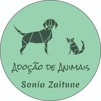 Sonia Zaitune - Adoção de Animais SP