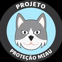 Proteção Miau Araripina
