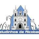GAPA - Associação Alcobaça