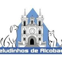 GAPA - Associação Alcobaça