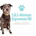 S.O.S Animais Espumoso/RS