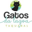 Gatos da Lagoa Taquaral