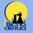 Bicho de Rua