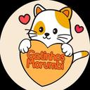Gatinhos Morumbi Adoção de Gatinhos SP
