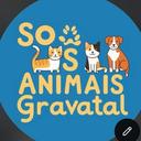 SOS Animais Gravatal