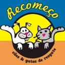 Grupo Recomeço - Cães & Gatos de Resgate