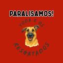 Yoda e os Resgatados