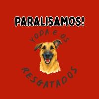 Yoda e os Resgatados