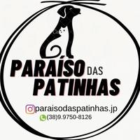 Paraíso das Patinhas - JP