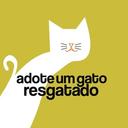 Adote um Gato Resgatado