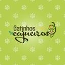 Gatinhos Cajueiros