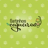 Gatinhos Cajueiros