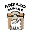 Amparo Morro