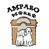 Amparo Morro