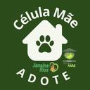 Célula Mãe