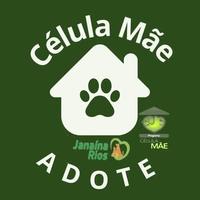 Célula Mãe