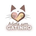 Adote um Gatinho Passo Fundo
