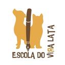 Escola do Vira Lata