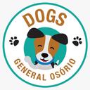 Dogs General Osório