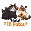 Gatil 16 Patas