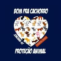 Bom pra Cachorro