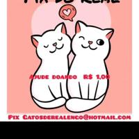 Arthur Gatos d Realengo