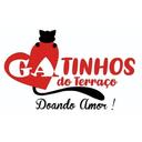 Gatinhos do Terraço - RJ