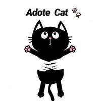 Adote Cat