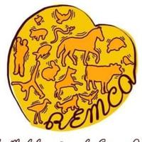REMCA Causa Animal Bahia Adote
