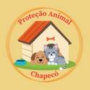Proteção Animal Chapecó